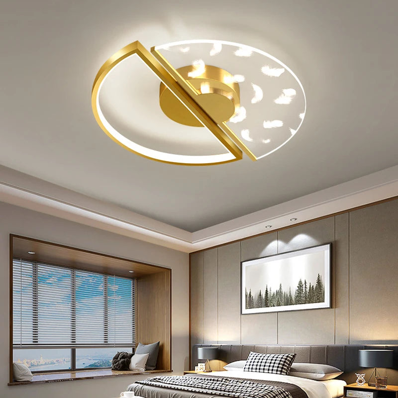 Modern LED ceiling light with dimmable function and unique design
