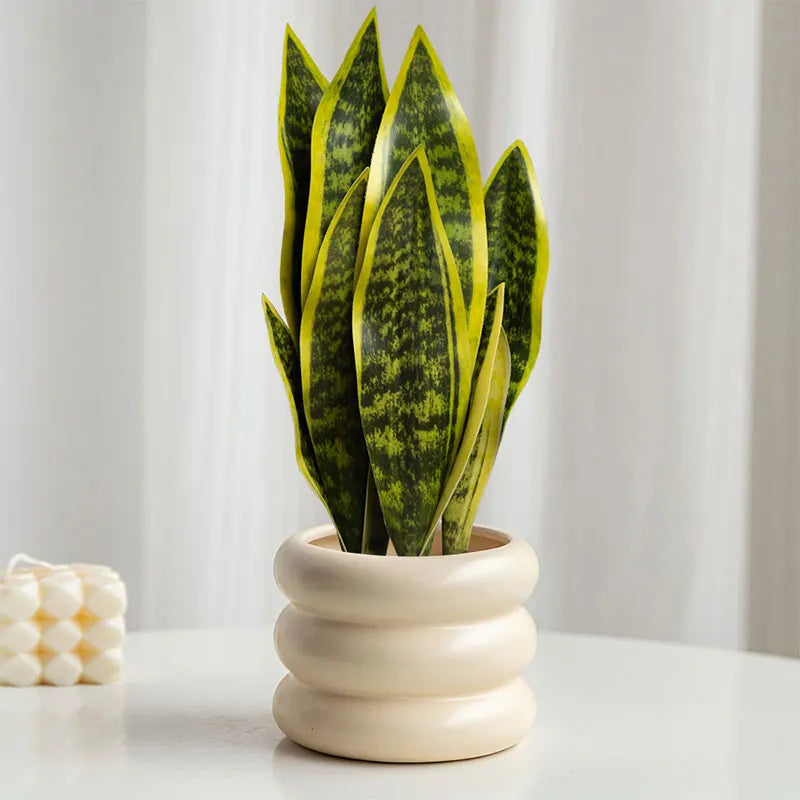 Artificial sansevieria plants for modern outdoor decoration