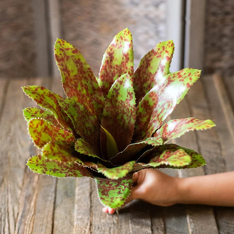 Artificial succulents real touch for interior decoration