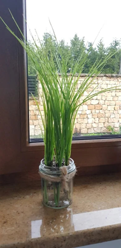 Artificial plants for indoor and garden decoration - vue 8 sur 9