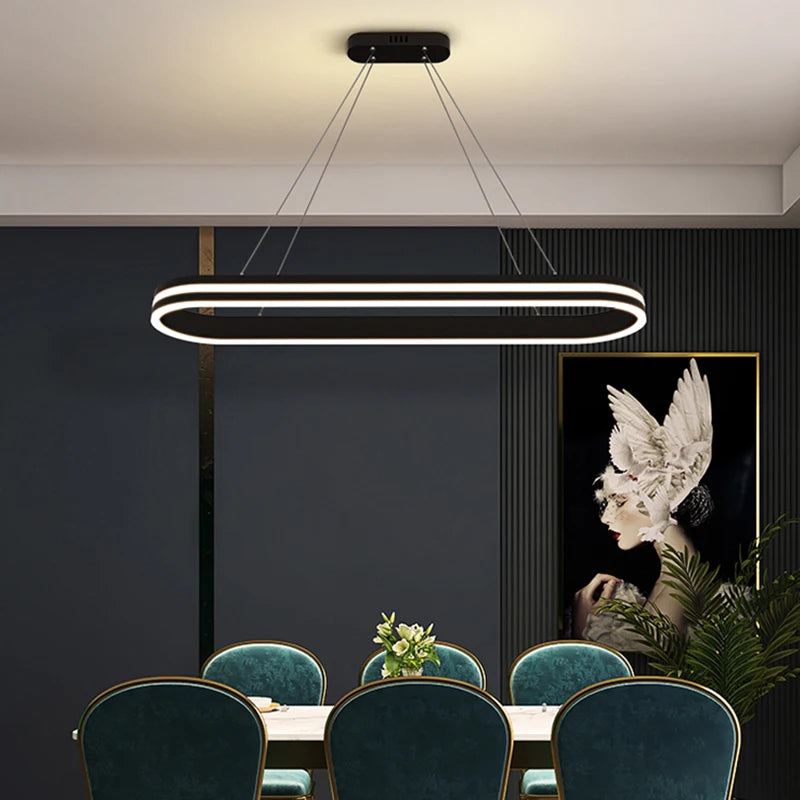 Modern and elegant indoor LED pendant light - vue 3 sur 8