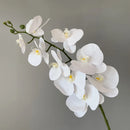 preserved phalaenopsis orchid artificial flowers for wedding decoration