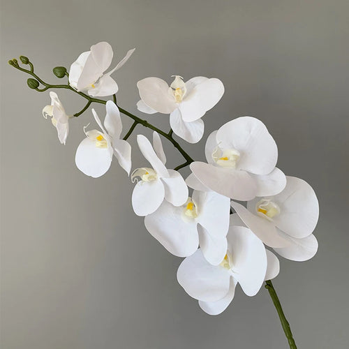 preserved phalaenopsis orchid artificial flowers for wedding decoration - vue 9 sur 17
