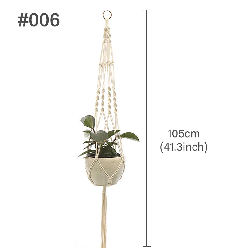 macrame plant hanger and natural wall decor