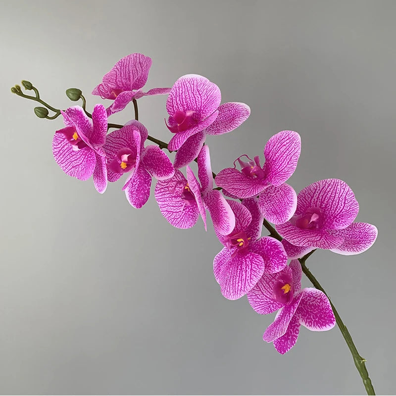 preserved phalaenopsis orchid artificial flowers for wedding decoration - vue 9 sur 17