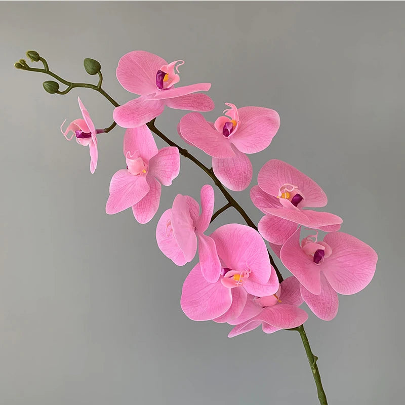 preserved phalaenopsis orchid artificial flowers for wedding decoration - vue 12 sur 17