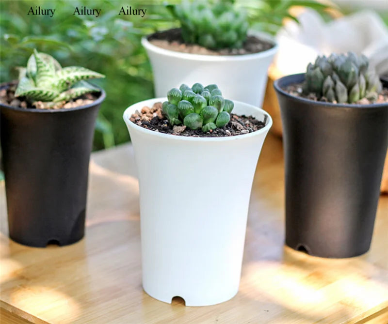 succulent plant thick plastic pot vintage style round