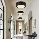 Retro vintage industrial ceiling light for indoor and outdoor use