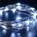 Decorative string lights with 100 LED and AA battery power