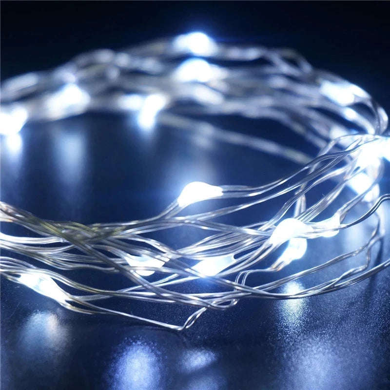 Decorative string lights with 100 LED and AA battery power - vue 5 sur 6