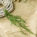 Artificial succulent plants for rattan wall decoration