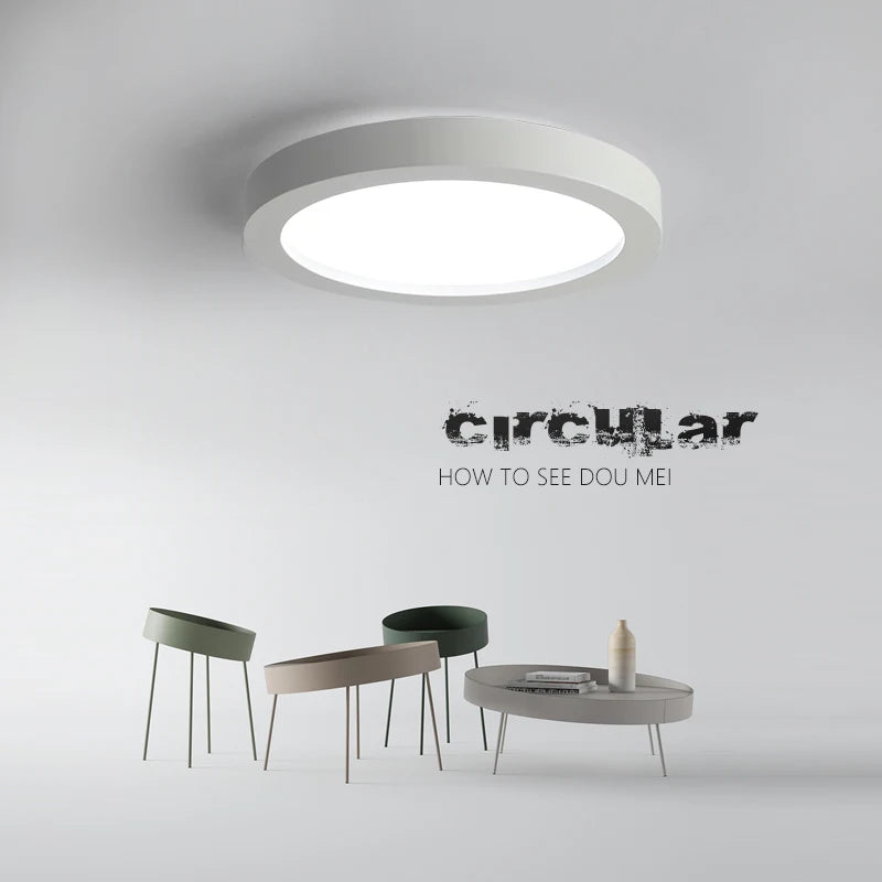 Modern dimmable LED iron ceiling light for indoor use