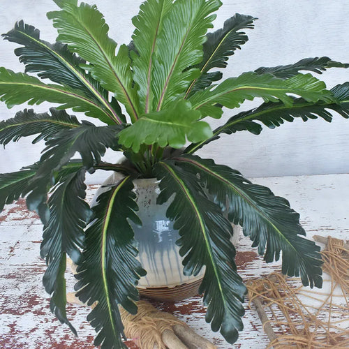 Artificial tropical plants ferns and decorative leaves - vue 3 sur 7
