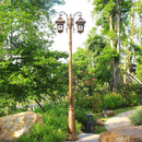 Outdoor waterproof multi-head LED garden lamp