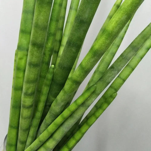 Artificial cylindrical plastic cactus for indoor and outdoor decoration - vue 7 sur 9