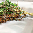 Artificial eucalyptus rattan plants for indoor and outdoor decoration