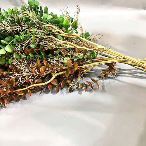 Artificial eucalyptus rattan plants for indoor and outdoor decoration - vue 5 sur 8