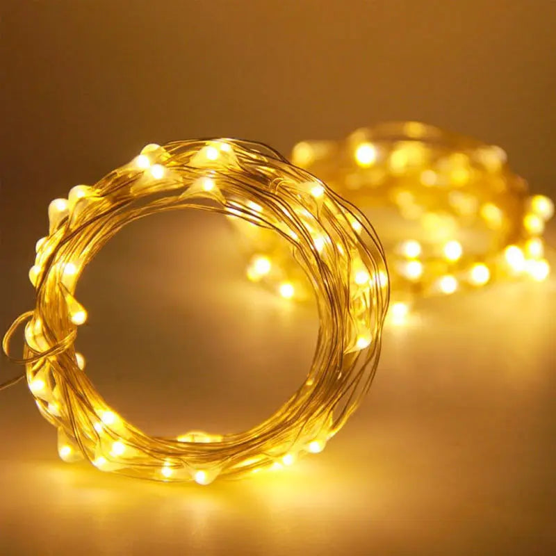 Copper wire LED string light for party decorations - vue 6 sur 15