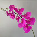 preserved phalaenopsis orchid artificial flowers for wedding decoration