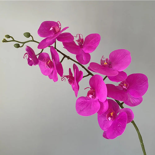 preserved phalaenopsis orchid artificial flowers for wedding decoration - vue 15 sur 17