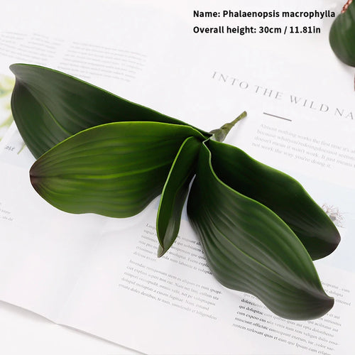 preserved phalaenopsis orchid artificial flowers for wedding decoration - vue 16 sur 17