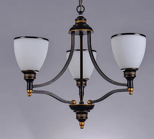 Classic iron and glass chandelier for indoor decoration - vue 12 sur 16