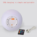 Modern LED globe floor lamp for indoor and outdoor decor