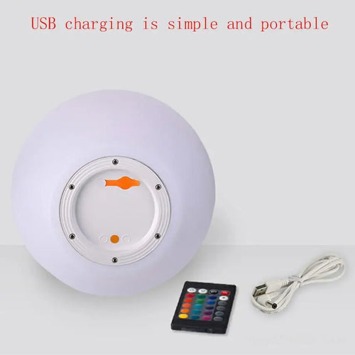 Modern LED globe floor lamp for indoor and outdoor decor - vue 6 sur 6