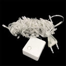 Outdoor LED string lights for Christmas decorations