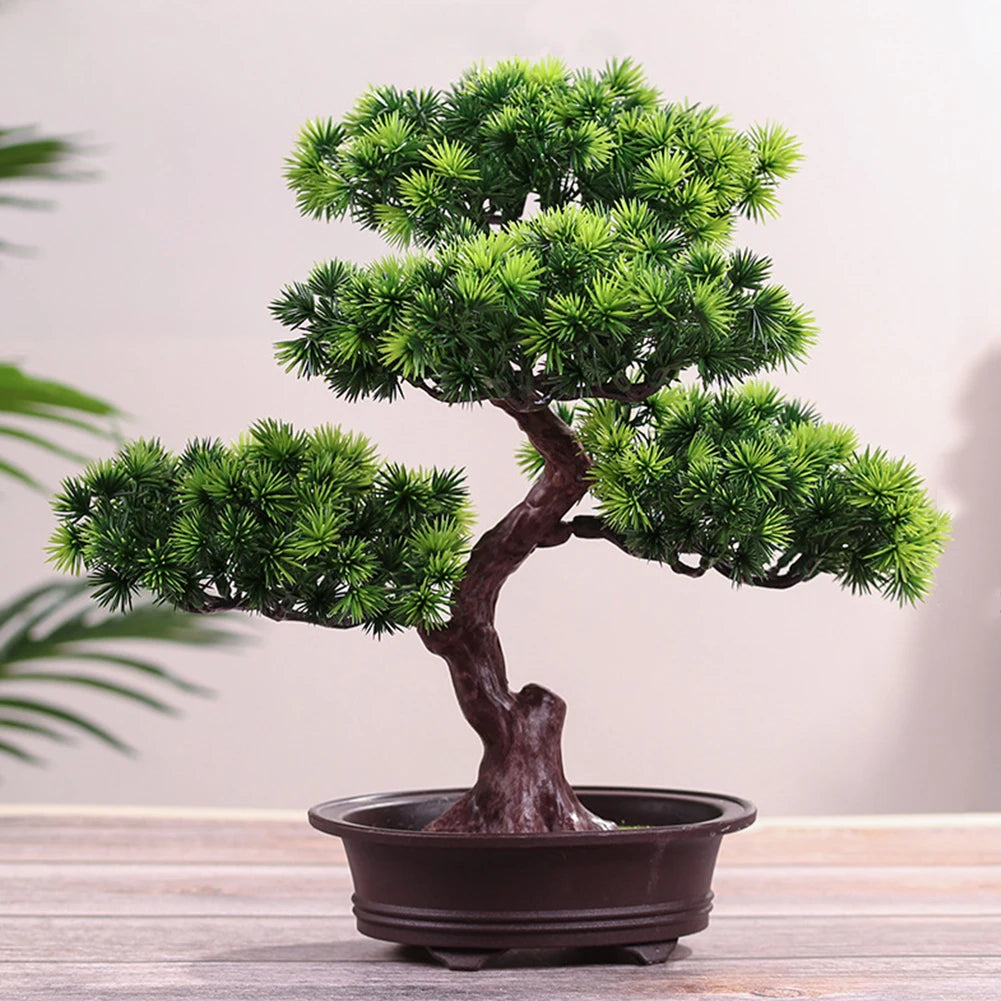 Decorative potted bonsai-style plant for home or office