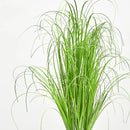 Large artificial onion grass faux dandelion tropical decoration