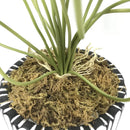 Decorative artificial lotus plants for home and office