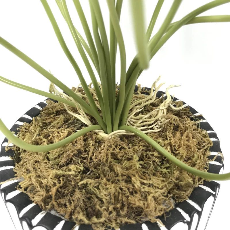Decorative artificial lotus plants for home and office - vue 7 sur 7