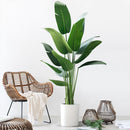 Tropical artificial potted tree for indoor and outdoor decoration