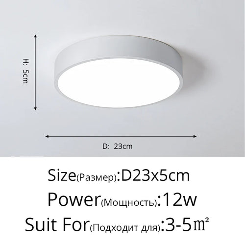 Design LED for art gallery decoration - vue 12 sur 16