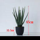 Artificial succulent plants for indoor and outdoor decoration
