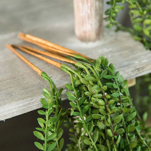 Artificial succulent plants for rattan wall decoration - vue 6 sur 7