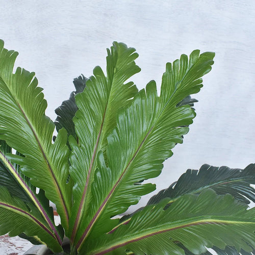 Artificial tropical plants ferns and decorative leaves - vue 7 sur 7