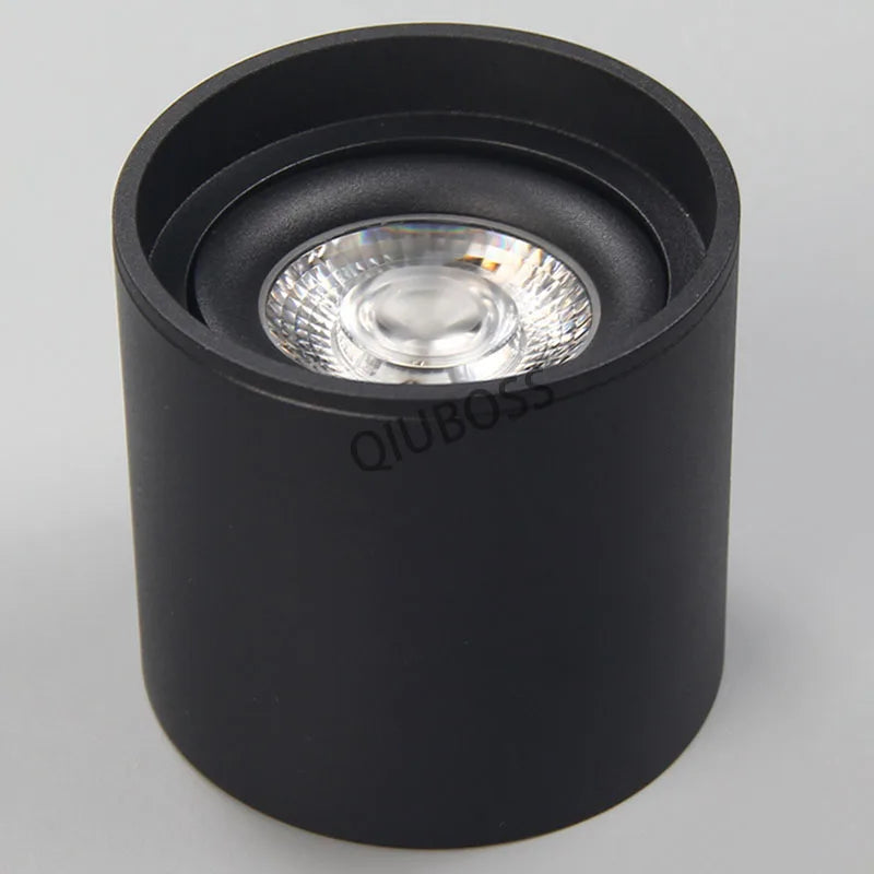 Dimmable LED ceiling light for indoor modern lighting 6000K