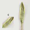 Artificial tiger leaf plants for indoor and garden decoration