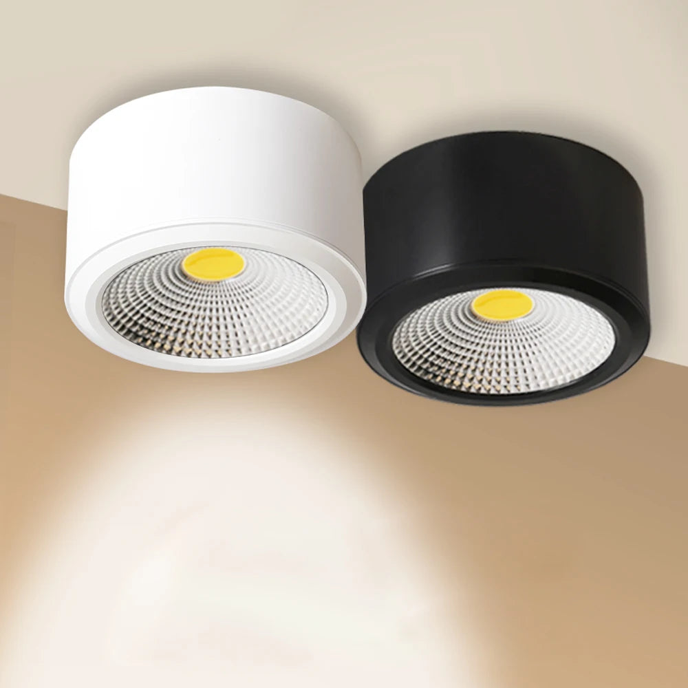 Dimmable LED spotlight for indoor decoration, surface mounted
