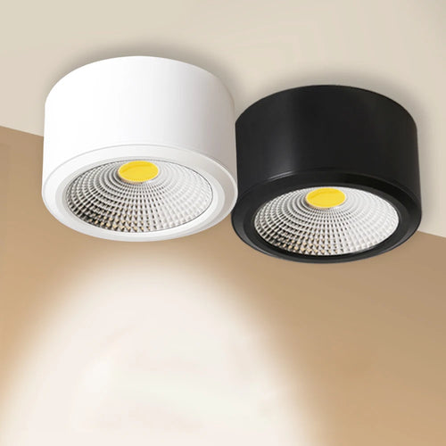 Dimmable LED spotlight for indoor decoration, surface mounted