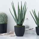Artificial succulent plants for indoor and outdoor decoration