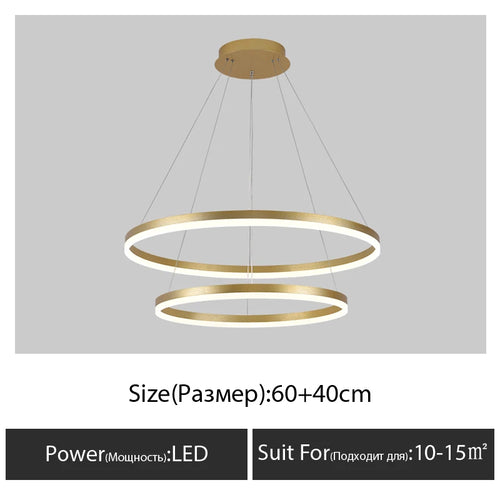 Modern chandelier for decorative indoor suspended lighting - vue 17 sur 18