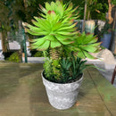 Artificial tropical cactus for desk decoration