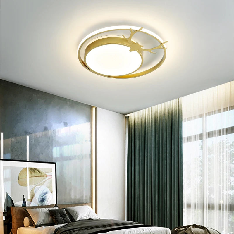 Modern decorative indoor ceiling light with LED lamps