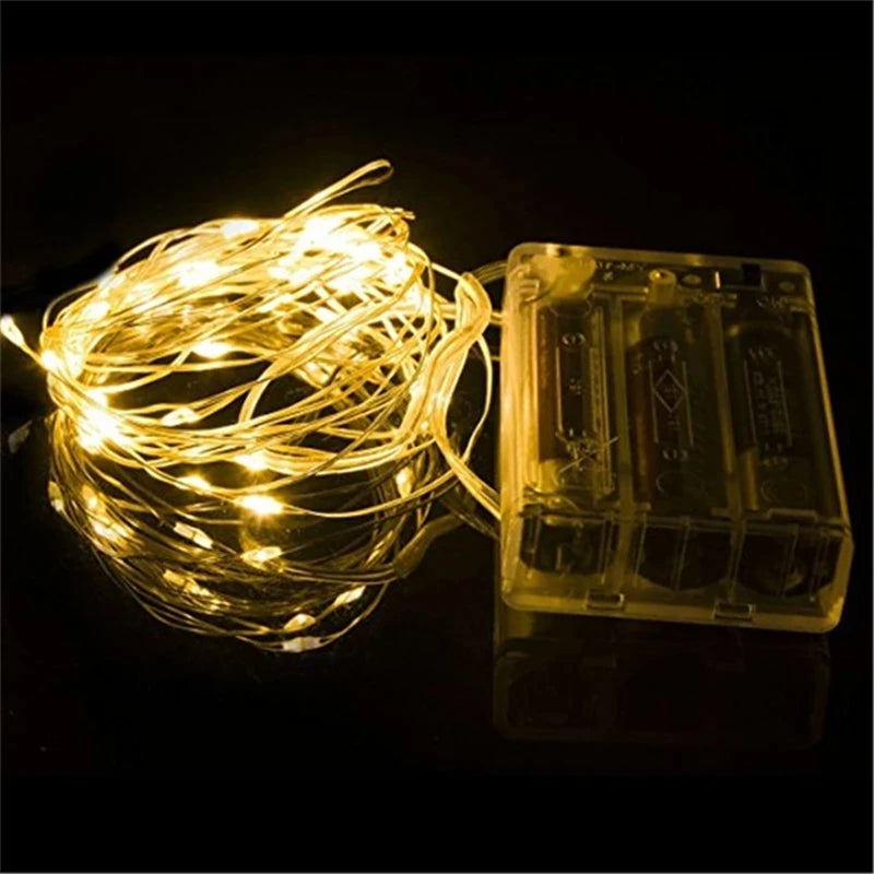 Decorative string lights with 100 LED and AA battery power