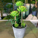 Artificial tropical cactus for desk decoration