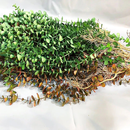 Artificial eucalyptus rattan plants for indoor and outdoor decoration - vue 6 sur 8