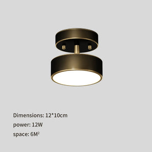plafonnier led moderne pour décoration intérieure élégante et lumineuse